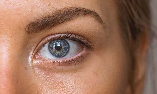 看公司 / 识其人